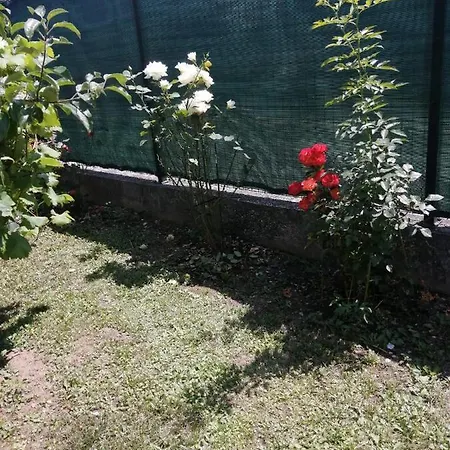 Vila Sarajevo-butmir